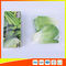 Gefrierschrank-Speicher-Taschen wiederversiegelbaren LDPE-freien Raumes mit Reißverschluss für Gemüse fournisseur