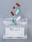 Klare kleine Taschen mit Reißverschluss für Pillen, Wegwerfluft-feste Zipverschluss-Taschen fournisseur